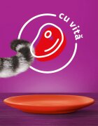 WHISKAS Vită plic hrană umedă pisici (în sos) 85g