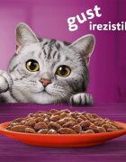 WHISKAS Vită plic hrană umedă pisici (în sos) 85g