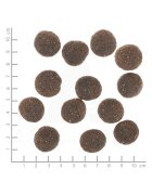 WOLFSBLUT Range XS-XL Miel hrană uscată câini 12.5kg