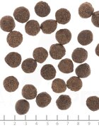 WOLFSBLUT VetLine Renal XS-XL Pui dietă veterinară hrană uscată câini sistem renal 12kg