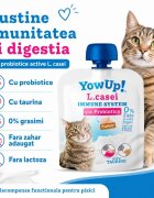 YOWUP! L Casei Curcan recompense funcționale pisici sistem imunitar sistem digestiv (topping) 85g