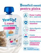 YOWUP! L Casei Curcan recompense funcționale pisici sistem imunitar sistem digestiv (topping) 85g