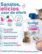 YOWUP! L Casei Curcan recompense funcționale pisici sistem imunitar sistem digestiv (topping) 85g
