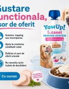 YOWUP! L Casei XS-XL Curcan recompense funcționale câini sistem imunitar sistem digestiv (topping) 115g