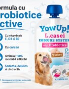 YOWUP! L Casei XS-XL Curcan recompense funcționale câini sistem imunitar sistem digestiv (topping) 115g