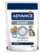Advance Diets Advance Veterinary Diets Dog & Cat Recovery 100 g