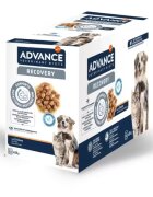 Advance Diets Advance Veterinary Diets Dog & Cat Recovery 11x100 g
