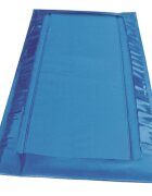 Albert Kerbl Covor Dezinfectie 180x90x4 cm