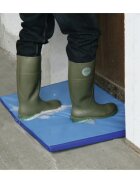Albert Kerbl Covor Dezinfectie 45x45x3 cm