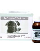 Alfavet Reconvales Tonic Caini 90 ml
