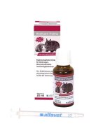 Alfavet Rodicare Pulmo 20 ml