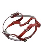 Antal Ham Piele Pentru Caini Cu Ornament Nr. 2 Rosu 53-59 cm