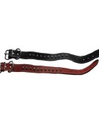 Antal Zgarda Pentru Caini PS+conuri 3 0/62cm Rosu Nr.4