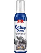 Bio Petactive Spray iarba pisicii Catnip Spray 100 ml
