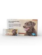 Bioveta Solutie antiparazitara Fiprin Spot Dog L 25 x 268 ml
