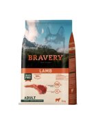 Bravery Hrana Uscata Caini Dog Large-Medium Adult Miel 4 kg