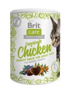 Brit Care Cat Snack Superfruits Chicken 100 g