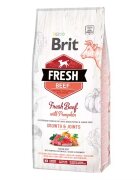 Brit Fresh Beef and Pumpkin Puppy Large 12 kg