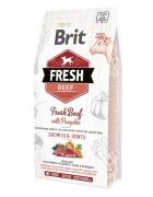 Brit Fresh Beef and Pumpkin Puppy Large 2.5 kg