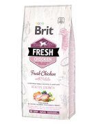 Brit Fresh Chicken and Potato Puppy 12 kg