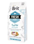 Brit Fresh Fish and Pumpkin Adult Large 2.5 kg