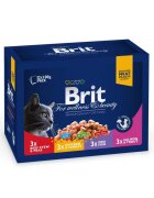 Brit Premium Cat plic Family Variety 12 Plicuri x 100 g