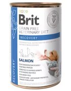 Brit Veterinary Diets Brit Grain Free Veterinary Diets Dog and Cat Recovery 400 g