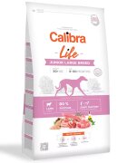 Calibra Dog Life Junior Large Breed Lamb 12 kg