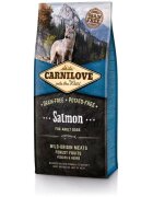 Carnilove Salmon for Adult 12 kg