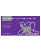 Chanelle Exitel Plus XL 10 comprimate