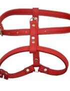 Enjoy Ham Caini Piele Eco 20 mm