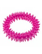 Enjoy Jucarie caini inel zimtat 9 cm