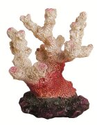 Exotic K Decor acvariu coral 6.5 cm R113