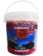 Exotic K Exo Gammarus 1000 ml