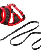 Flamingo Ham Plasa si Lesa Pisici Negru/ Rosu 108/ 1 cm