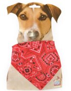 Flamingo ZGARDA PENTRU CAINI ROSIE CU BANDANA 25-40CM/505759