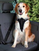 GlobalPet Ham si Centura Auto Caini M 50-65 cmcm/20 mm Negru 12856