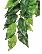 Hagen EXO TERRA PLANTA FICUS SMALL 45 cm