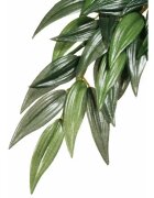 Hagen EXO TERRA PLANTA RUSCUS SMALL 35 CM PT3031