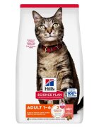 Hills Hrana uscata pisici Hill's Science Plan Feline Adult Salmon 10 kg