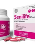 Innovet Senilife Plus 60 capsule