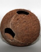 JBL Cocos Cava 1/1 M