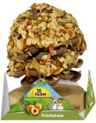 Jr Farm Copac cu fructe pentru rozatoare 270 g