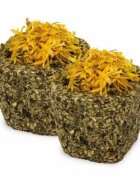 Jr Farm Mix plante pentru rozatoare 75 g