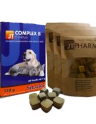 Jtpharma JT Complex B 60 snacks
