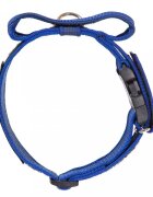 Julius K9 Zgarda K9 nylon cu maner 50 mm albastra