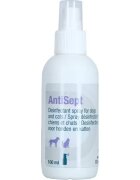 Levet Antisept 100 ml