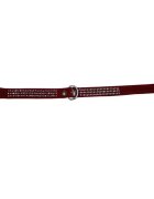 Milan Zgarda Velur pentru Caini Strasuri 3 Randuri 30 cm
