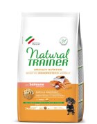 Natural Trainer Hrana Uscata Caini Sensitive No Gluten Mini & Toy Adult Somon 2 kg