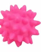 Pawise Jucarie Minge cu Tepi 6 cm